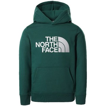Felpa Basic The North Face...